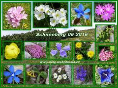 Schneeberg 2016